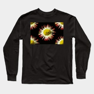 Daisies, Daisies Long Sleeve T-Shirt